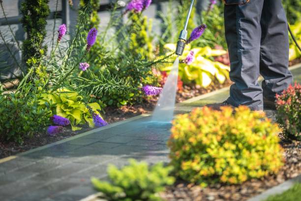 Best Driveway Pressure Washing  in Yarmouth Port, MA